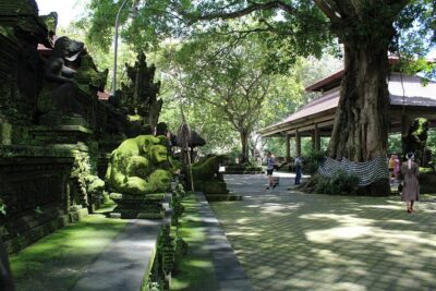 Private Full Day Tour to Ubud Highlights with Giant Swing - Sangeh Monkey Forest: giant pala trees and three ancient temples