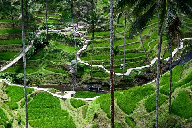 Private Full Day Tour to Ubud Highlights with Giant Swing - Tirta Empul Temple: watching purification in an active place of worship