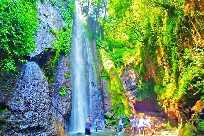 Private Full Day Trip to Taman Safari From Jakarta - Lions, elephants, and giraffes: pacing and photo reality