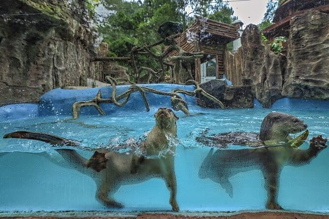 Private Full Day Trip to Taman Safari From Jakarta - Getting from Jakarta to Bogor without driving yourself
