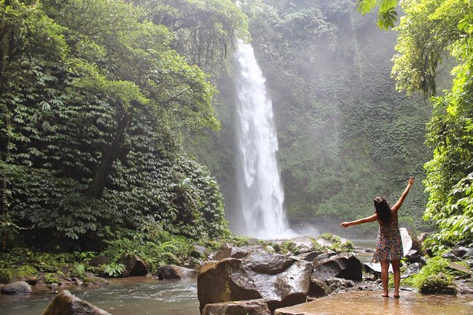 Private Full-Day West Bali Tour with Waterfall Visit - Lunch, bottled water, and entrance fees: where the money goes