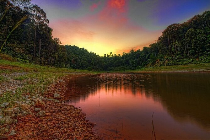 Private guided puncak day tour;Solo;Small Group - Why Puncak and Cisarua work so well for a day trip from Jakarta