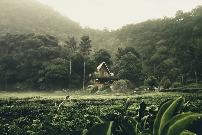 Private guided puncak day tour;Solo;Small Group - Puncak Pass first: waterfalls and Telaga Warna’s sulfur-lake mystery