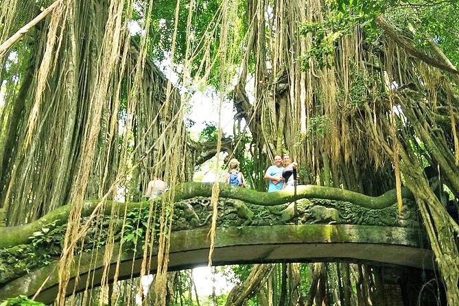 Private Guided Tour: The Best Of Ubud With Jungle Swing - From Seminyak to Ubud: the comfort side of a long day