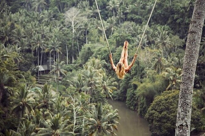Private Guided Tour: The Best Of Ubud With Jungle Swing - Sacred Monkey Forest Sanctuary: 800+ long-tailed monkeys, close-up reality