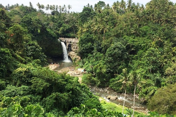 Private Guided Tour: The Best Of Ubud With Jungle Swing - Why the guide quality matters more than you think