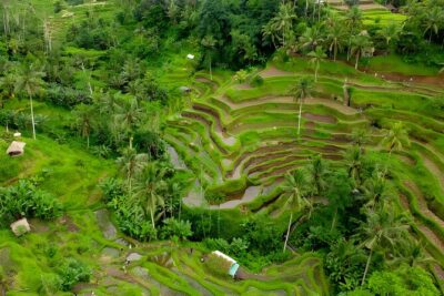 Private Half Day-Tour: Ubud Art Village Trip - How long is this Ubud circuit, and why it matters