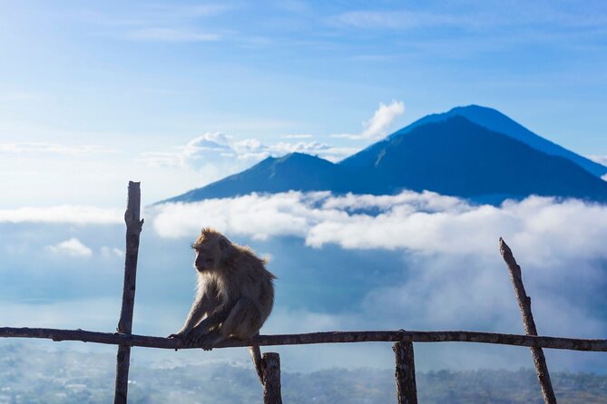 Private Mount Batur Sunrise Trekking Tour - Guides Who Know the Volcano: Ricky, Gunawan, Adi, and Dyangu
