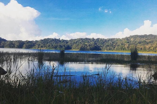 Private Munduk Waterfalls Trekking Tour - The 3-hour Munduk waterfalls trek: what you should really expect