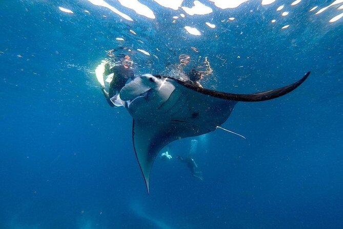 PRIVATE Nusa Penida on Boat Snorkeling & Island Tour (INCLUSIVE) - Key highlights you should know before you go