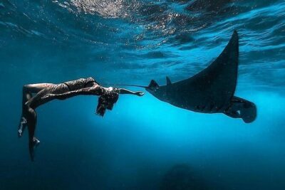 PRIVATE Nusa Penida on Boat Snorkeling & Island Tour (INCLUSIVE) - The Cliffside Land Tour: Kelingking Beach, Broken Beach, and Angel’s Billabong