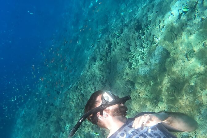 Private Nusa Penida Snorkeling Tour - Price and value: is $157.84 per person worth it?