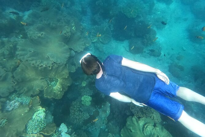Private Nusa Penida Snorkeling Tour - Who should book this private Nusa Penida snorkeling tour