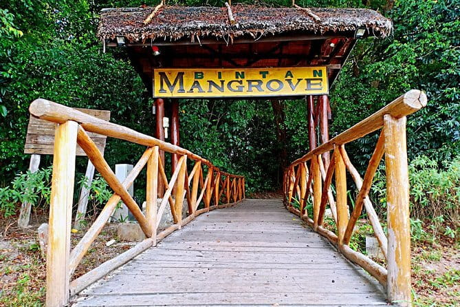 Private One Day Bintan Island Tour - Tanjung Pinang for snacks and shopping (and how to pay)