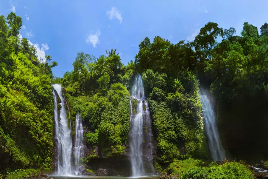 Private Sekumpul Waterfall Hiking Tour - Key things that make this Sekumpul tour worth your time