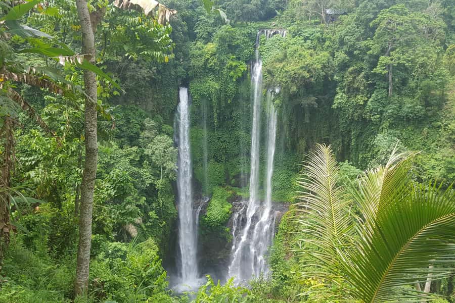 Private Sekumpul Waterfall Hiking Tour - Sekumpul waterfall hike: hundreds of stairs and real rainforest energy
