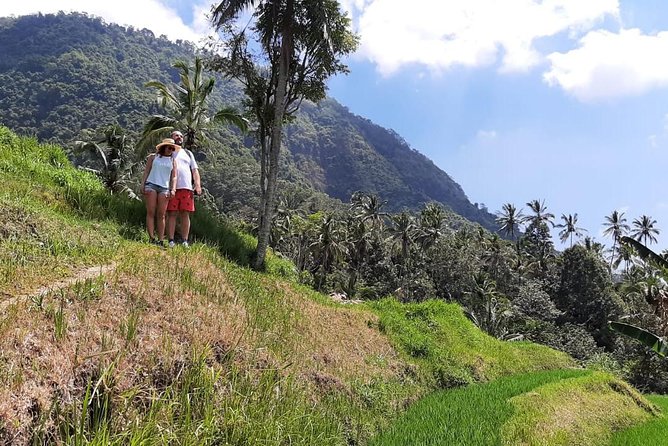 Private Sekumpul Waterfalls Trekking Tour - The Sekumpul Waterfall Trek: 3 Hours of Jungle Footpaths