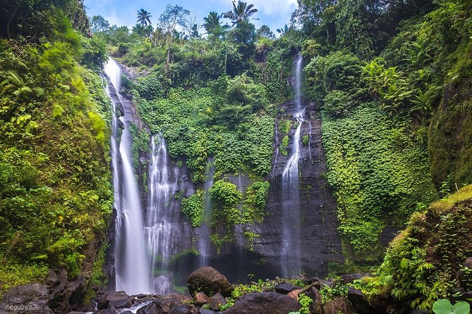 Private Sekumpul Waterfalls Trekking Tour - Coffee Plantation Stop: Kopi Luwak Explained (and How Optional It Is)