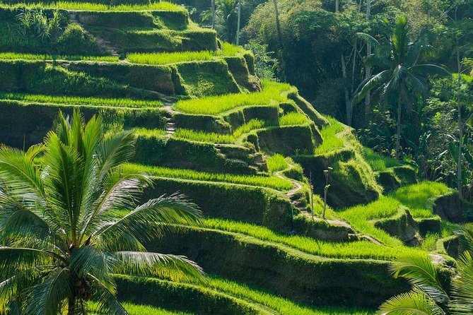 Private Shore Excursion: Customized Best of Bali Tour - Price and Value for a Full-Day Private Shore Excursion