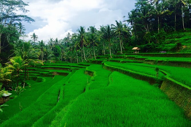 Private Shore Excursion: Ubud Art Villages and Sacred Monkey Forest - Batuan Village: art village vibes and what to look for