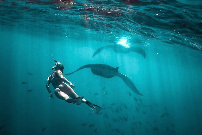 Private Sightseeing Northern East Bali All inclusive - Should you book this tour?