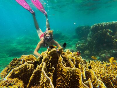 Private Snorkeling GIli Asahan, Goleng, Gili Layar & Gede - Gili Gede first: coral reef snorkeling and turtle odds