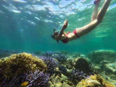 Private Snorkeling Gili Gede, GIli Asahan, Gili Goleng Tour - Gili Gede Snorkeling: Reefs Where Turtles and Coral Interest Show Up