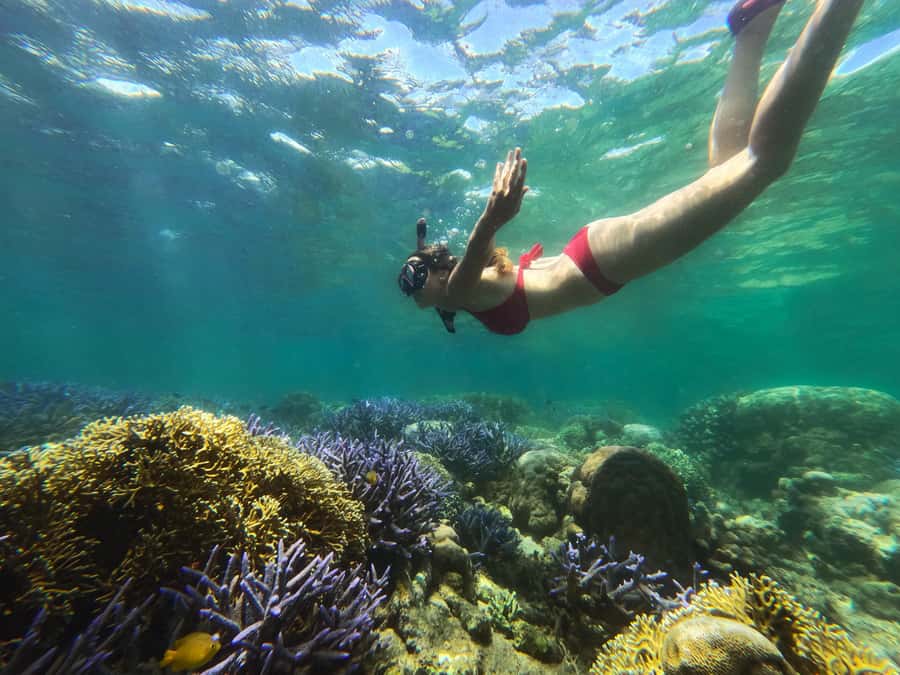 Private Snorkeling Gili Gede, GIli Asahan, Gili Goleng Tour - Gili Gede Snorkeling: Reefs Where Turtles and Coral Interest Show Up