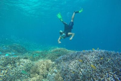 Private Snorkeling Gili Island (Coral, Statue and Turtle) - From Vespa Scooters to Gili Meno: The Water Stops That Give Variety