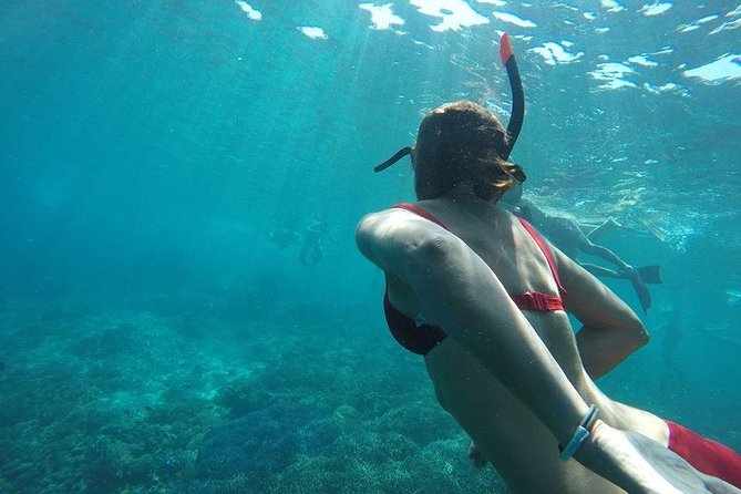 Private Snorkeling Gili Island (Coral, Statue and Turtle) - Lunch on Gili Meno: More Than a Break