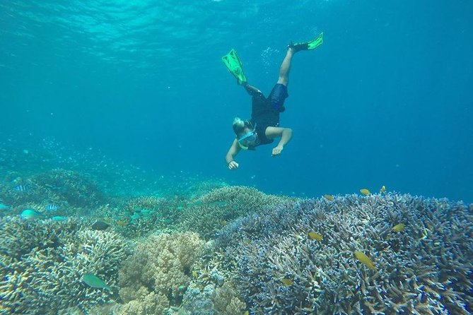 Private Snorkeling Gili Island (Coral, Statue and Turtle) - From Vespa Scooters to Gili Meno: The Water Stops That Give Variety