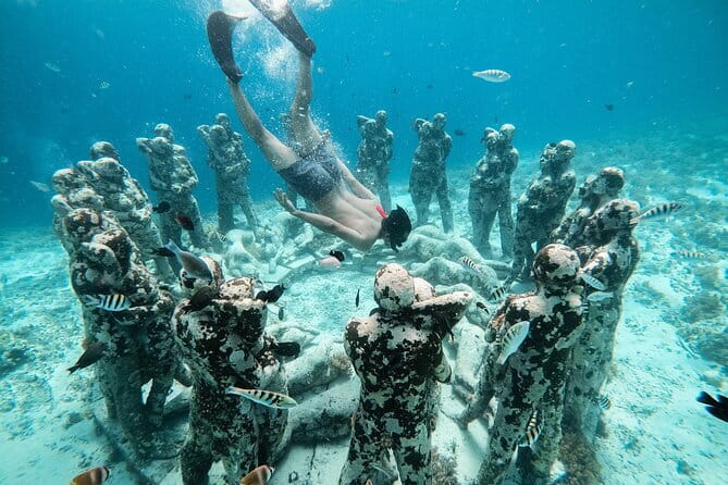 Private Snorkeling Gili Island Including GoPro Camera - Key highlights you’ll feel right away
