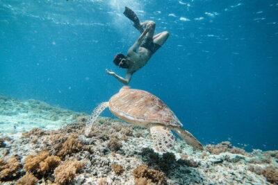 Private Snorkeling Gili Island Including GoPro Camera - Entering the flow: what the 4 hours actually look like