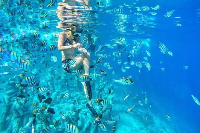 Private Snorkeling Gili Island Including GoPro Camera - Price and value: is $48.87 a good deal?
