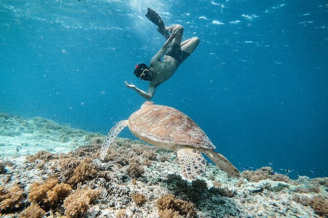 Private Snorkeling Gili Island Including GoPro Camera - Entering the flow: what the 4 hours actually look like