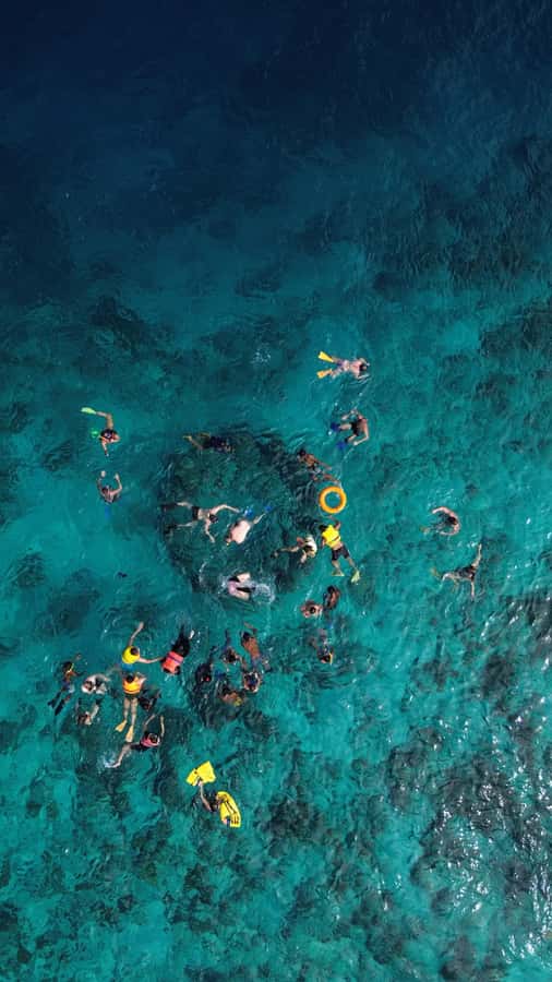 Private Snorkeling Gili Islands Full Day Tour - Key highlights you’ll actually care about