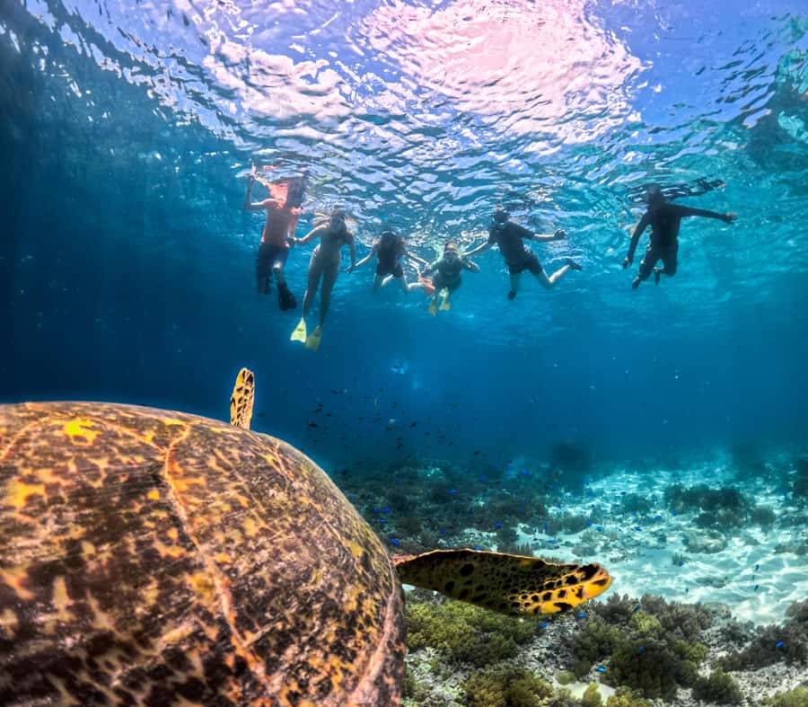 Private Snorkeling Gili Islands Full Day Tour - The Gili Islands setup: why Trawangan + Meno works for a snorkel day