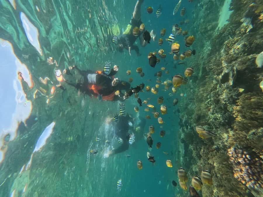 Private Snorkeling Gili Islands Full Day Tour - Price and value: what you get for $72 per person