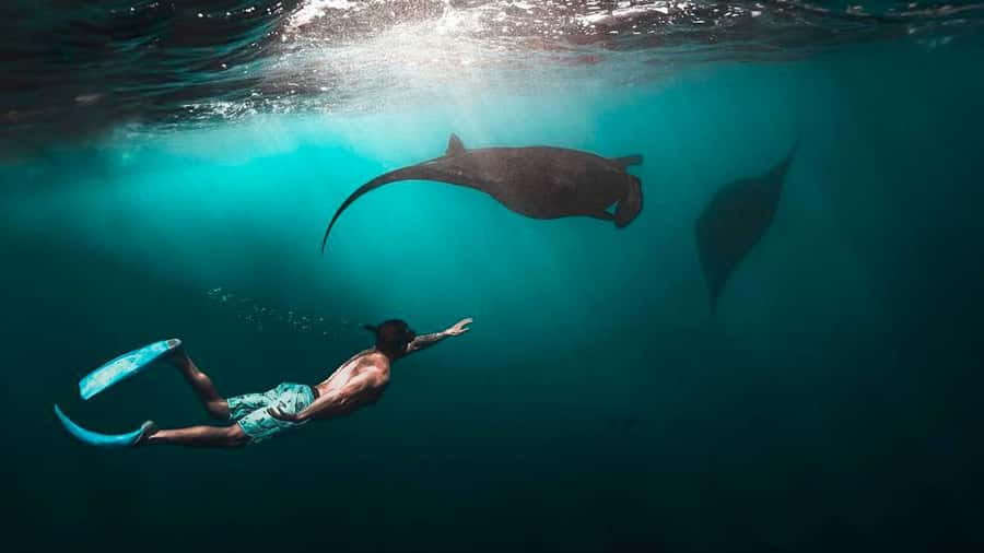 Private Snorkeling in Nusa Penida - The Itinerary Rhythm: Why 30-Minute Snorkels Work