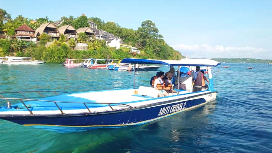 Private Snorkeling in Nusa Penida - Stop 1: Manta Bay and the Best Shot at the Big Fish