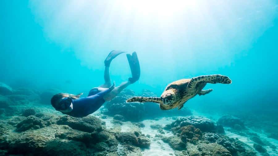 Private Snorkeling in Nusa Penida - Stop 4: The Wall for a Final 30-Minute Shot