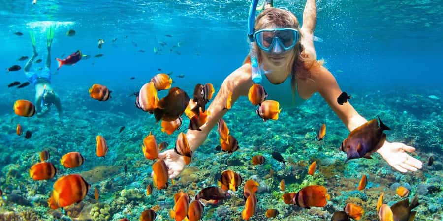 Private Snorkeling in Nusa Penida - Meeting at Ahmad Cafe: The Logistics That Matter