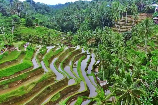 Private Tour: Amazing 3 Days Bali Sightseeing Tour Package with Airport Transfer - Price and Value: What You Get for $170 Per Person