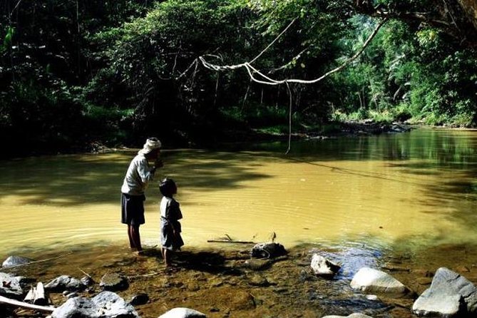 Private Tour Baduy Village - The 12-Hour Rhythm: Pickup, Drive, and Getting Into Hiking Mode