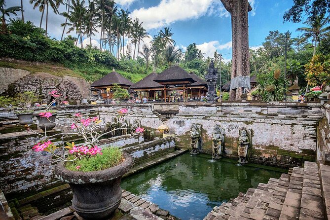 Private Tour : Bali Best Waterfalls, Temples and Monkey Forest - Tibumana Waterfall: jungle trail energy and a cooling swim vibe