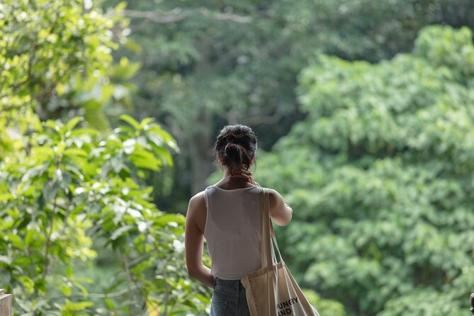 Private Tour : Bali Best Waterfalls, Temples and Monkey Forest - Ubud break: where you can reset without derailing the day