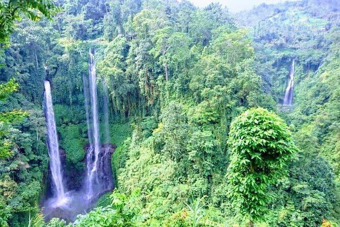 Private Tour: Bali Heritage Sites - Why the guide experience matters (Yogi is a standout name)