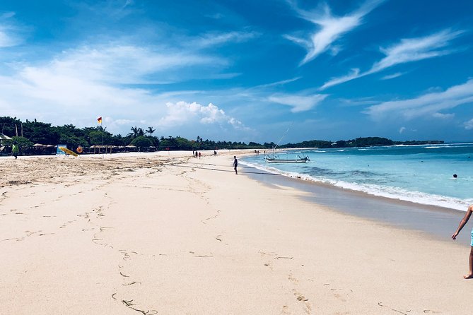 Private Tour: Bali in a Day - Comfort, safety, and the role of the driver