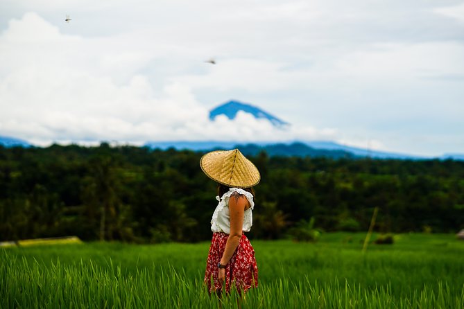 Private Tour: Bali Temple and Countryside Tour - UNESCO Jatiluwih rice terraces and the subak irrigation system