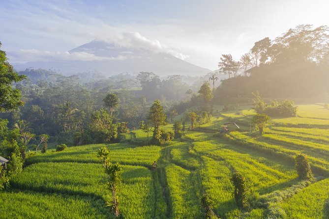 Private Tour: Bali Temple and Countryside Tour - Lunch over terraces: not included, and yes, it can cost extra